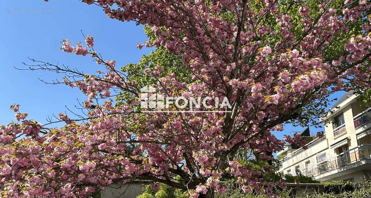 Appartement à MAISONS-LAFFITTE