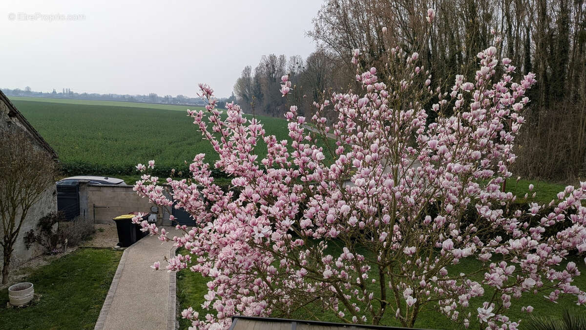 Maison à LONGUEVILLE
