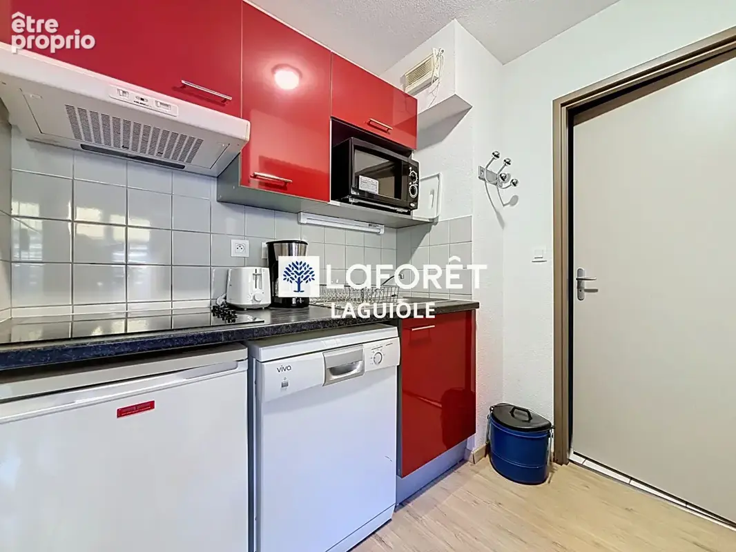 Appartement Entraygues Sur Truyere 2 pièce(s) 35 m2 - photo 4