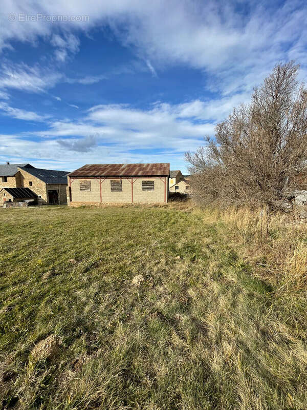 Terrain à SAINT-PIERRE-DELS-FORCATS