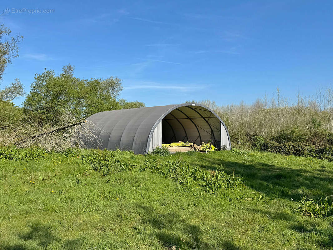 Maison à SORTOSVILLE-EN-BEAUMONT