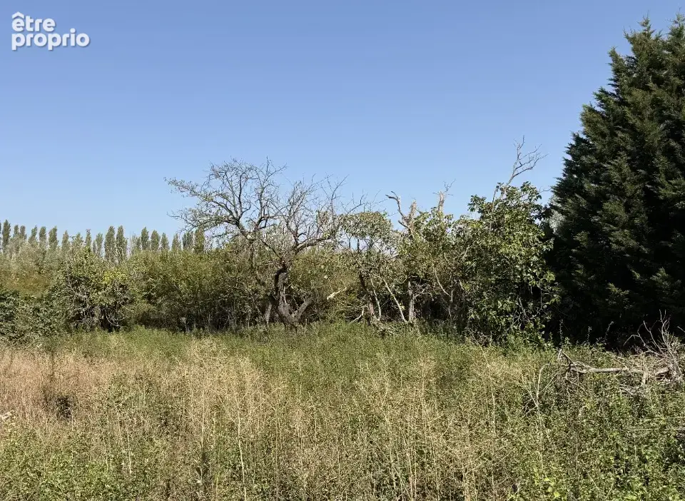 Terrain 974 m² à vendre à Castelnaudary (11400) - photo 2