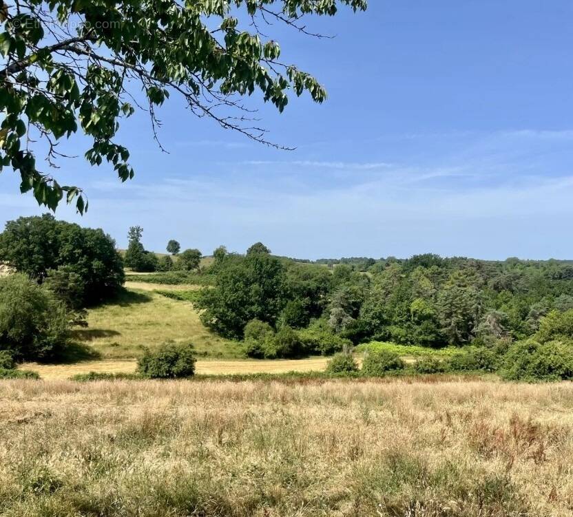 Terrain à TAMNIES