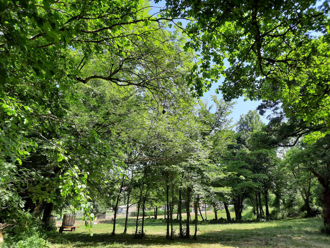 Terrain à VIALA-DU-PAS-DE-JAUX