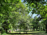 Terrain à VIALA-DU-PAS-DE-JAUX