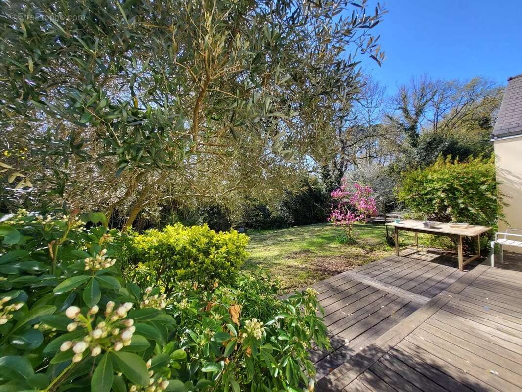 Maison à SAINT-MOLF