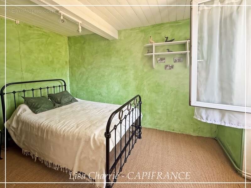 Propriété aux multiples possibilités : 2 maisons, studio et dépendances sur 3 007 m², proche de NOGARO (32) - photo 37
