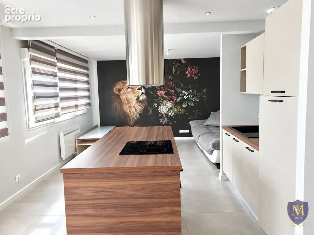 Village-neuf centre immeuble de 194 m2 spécial investissement - photo 3