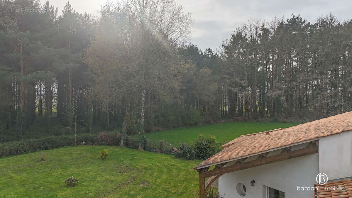 Maison à CHATEAUNEUF