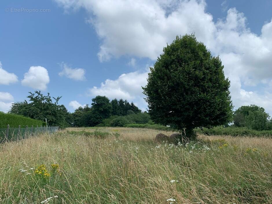 Terrain à SAINT-YRIEIX-LA-PERCHE
