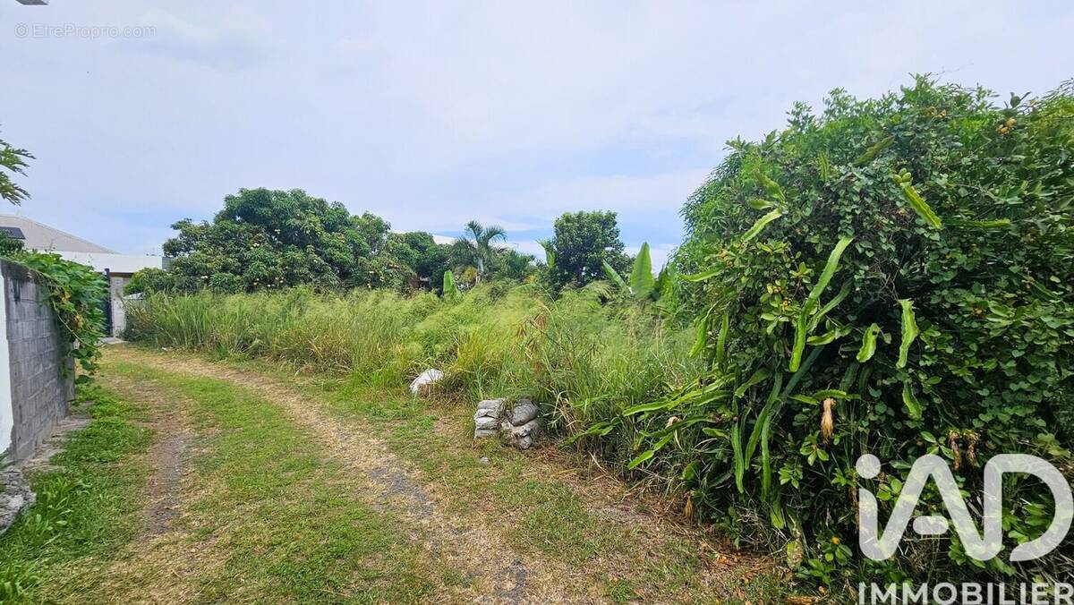Photo 1 - Terrain à LE TAMPON