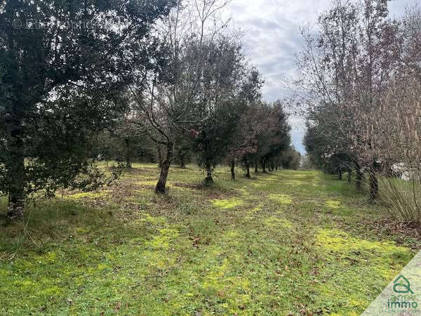 Terrain à AUSSAC-VADALLE