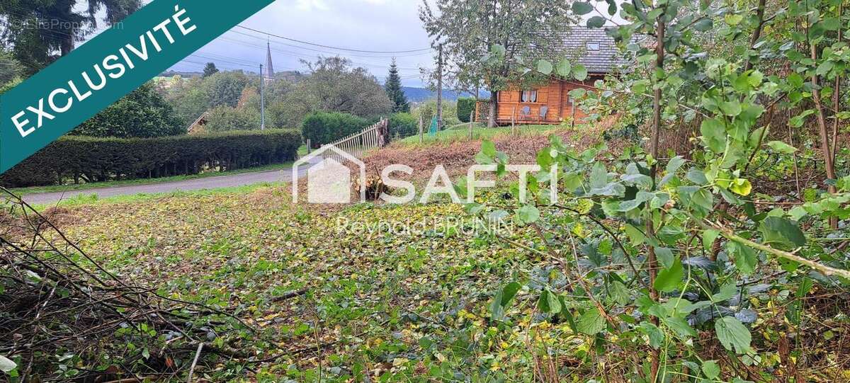 Photo 3 - Terrain à RAON-AUX-BOIS