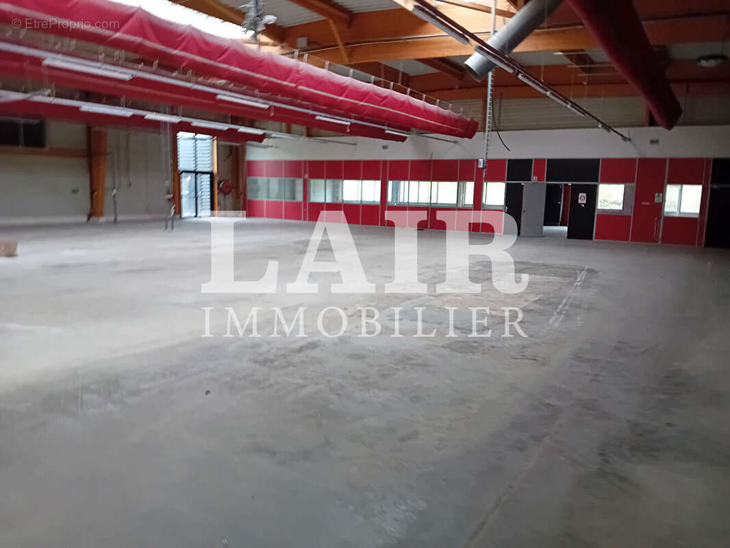 Commerce à BERD&#039;HUIS