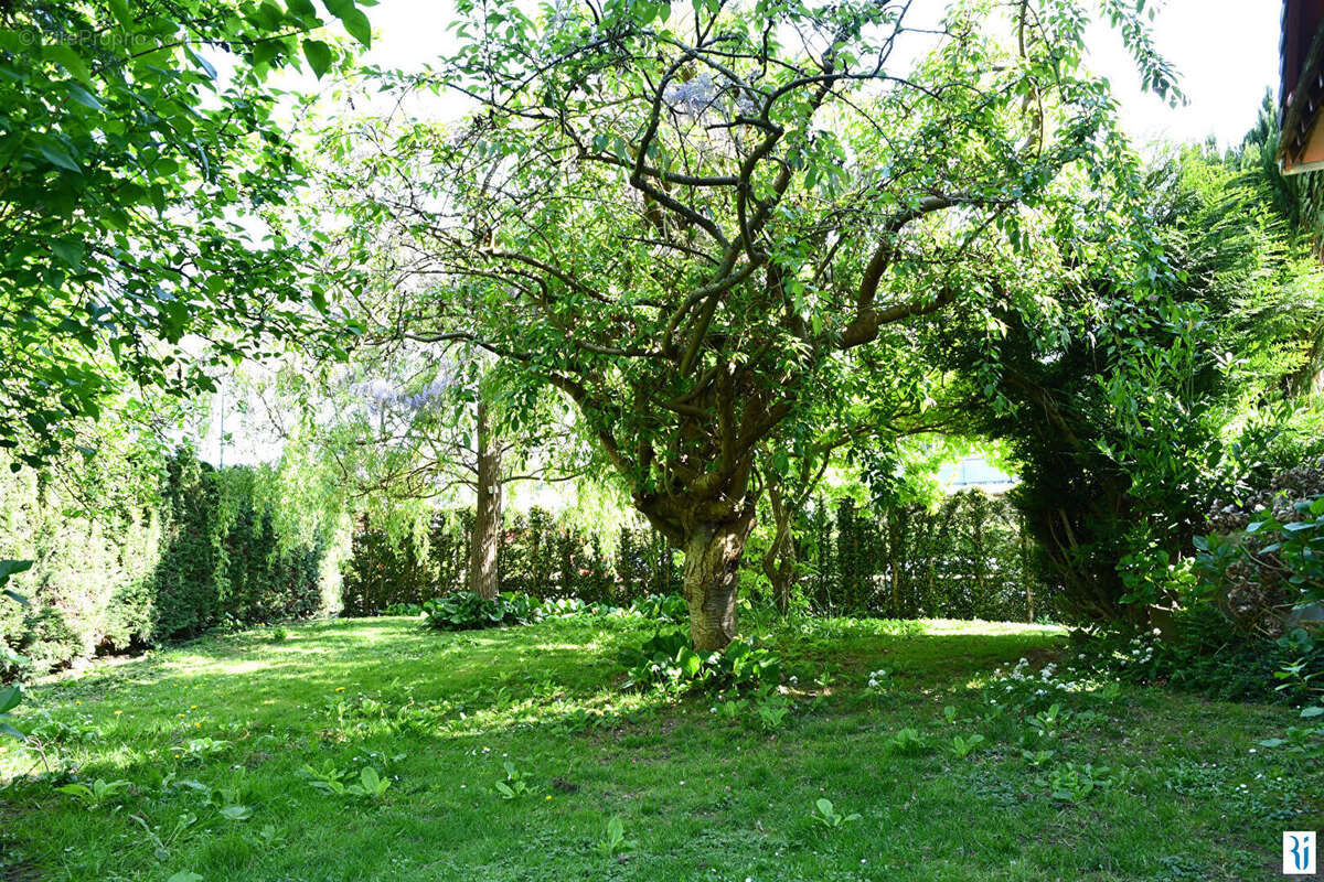 Maison à BONSECOURS