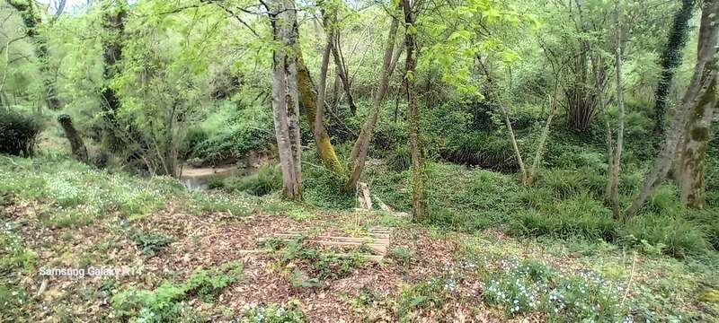 Maison à CASTELJALOUX