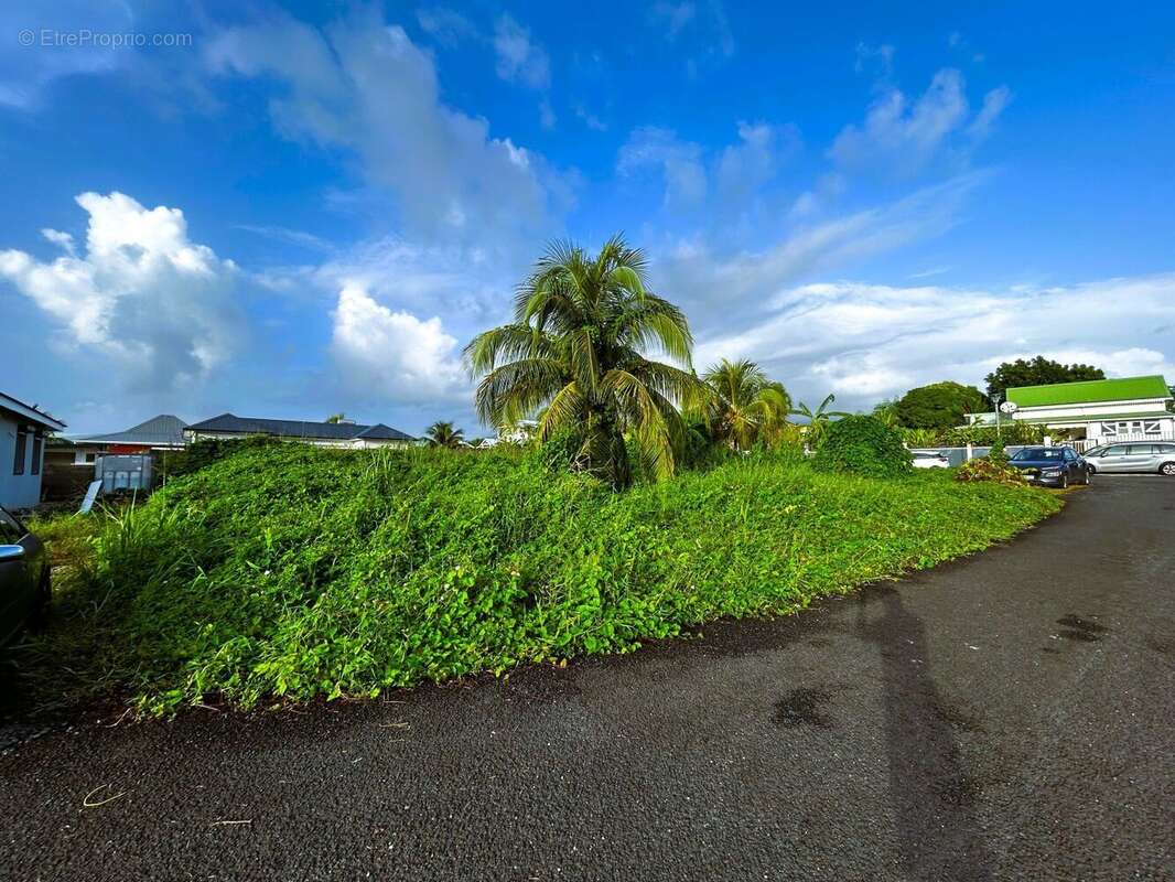 Terrain à CAPESTERRE-BELLE-EAU