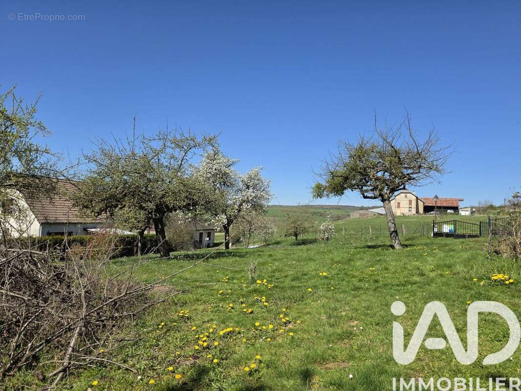 Photo 6 - Terrain à FRANCHEVAL