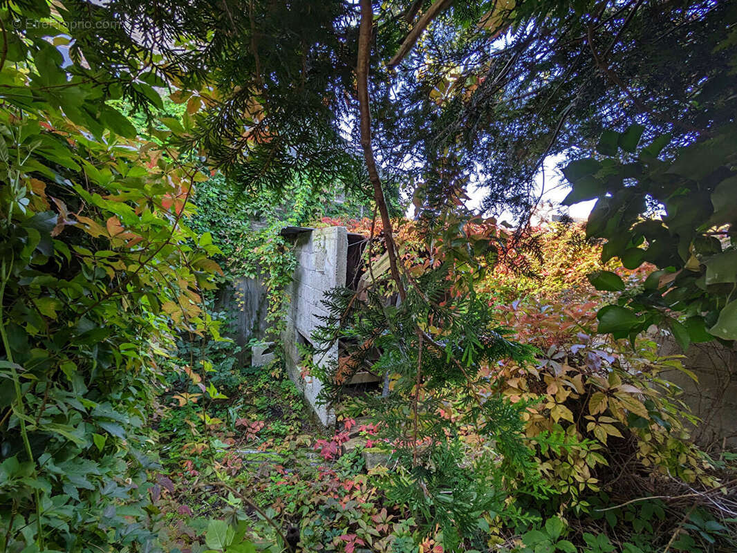 Maison vue mer 320m² hirel - photo 17