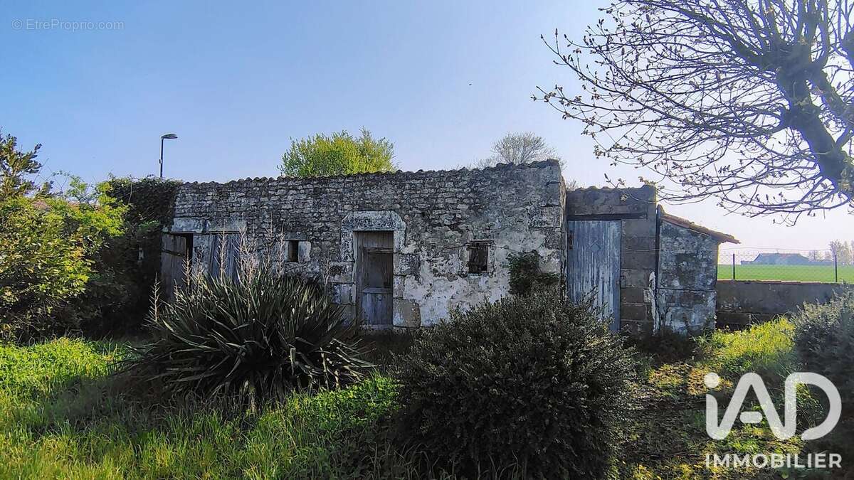 Photo 5 - Maison à FONTENAY-LE-COMTE