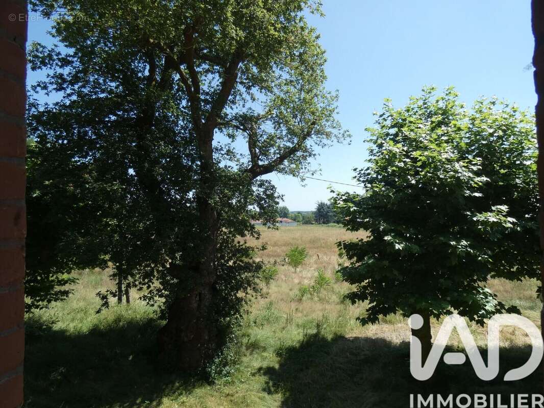 Photo 8 - Maison à SORT-EN-CHALOSSE