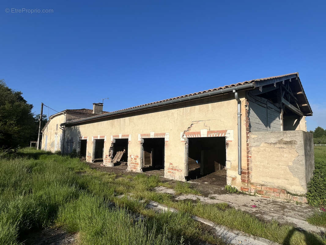 Maison à BAZAS