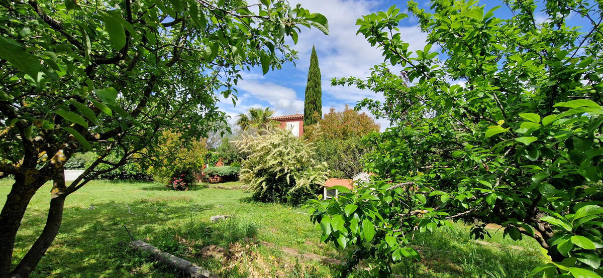 Maison à BOLLENE