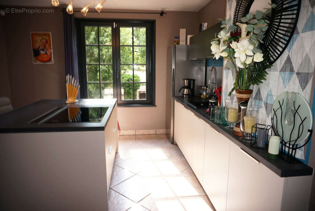 Balle maison avec terrain et etangs - photo 9