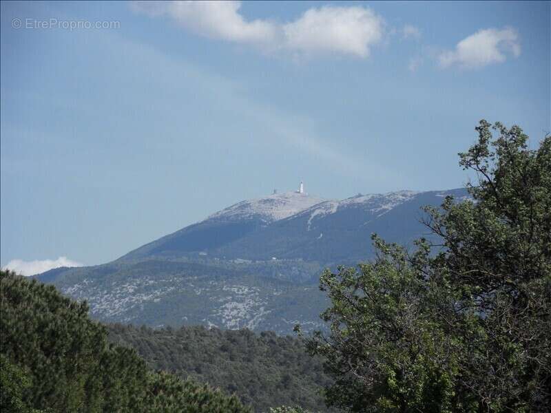 Maison à VAISON-LA-ROMAINE