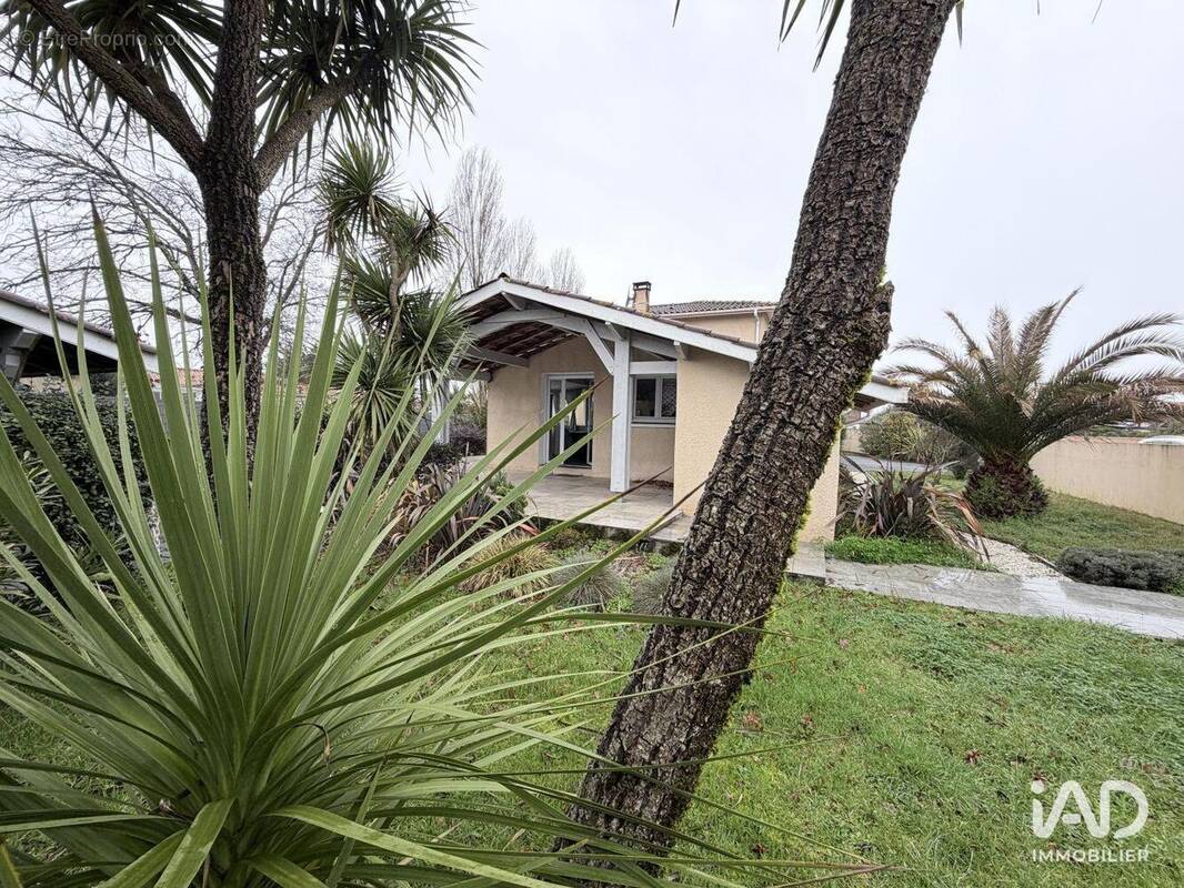 Photo 1 - Maison à LA TESTE-DE-BUCH