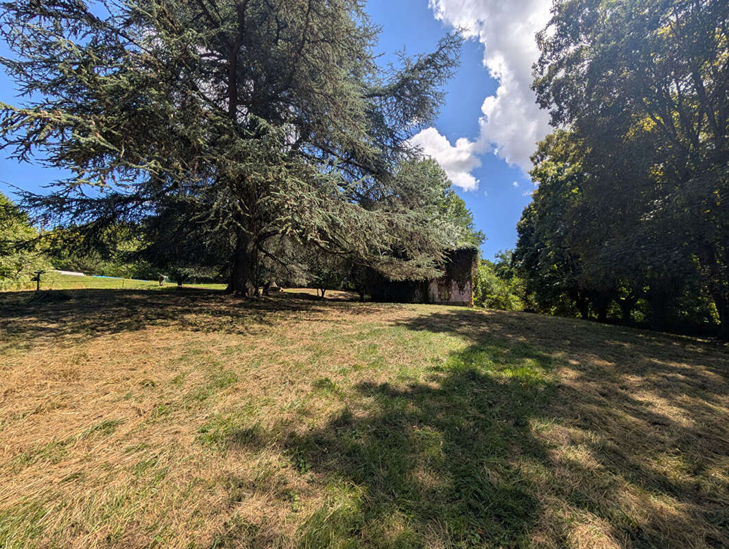 Terrain - Vienne  -16000 m2 - photo 12