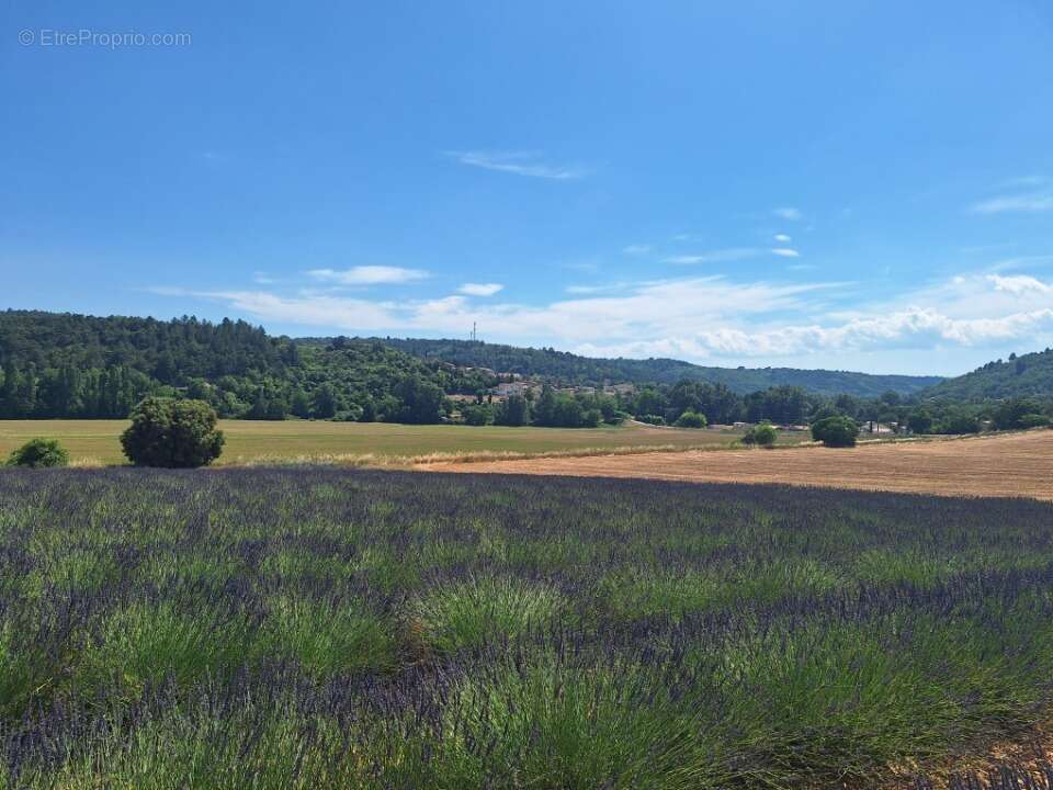 Terrain 650 m² à Roumoules  - photo 2
