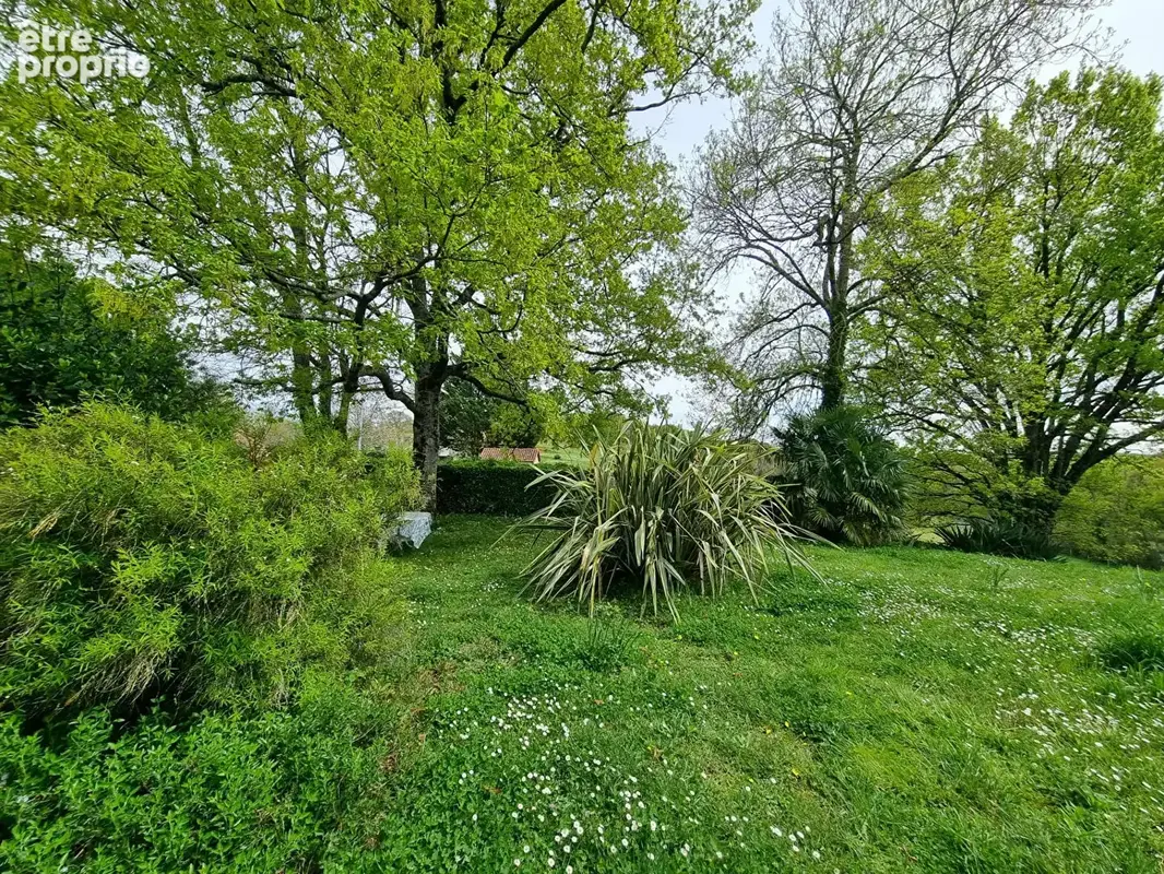 Maison de campagne sur terrain de 9738m² - photo 2