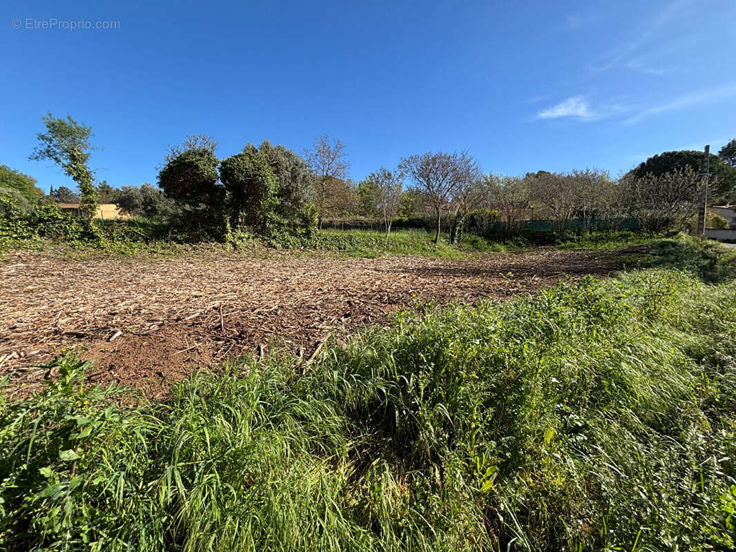 Terrain à VILLECROZE