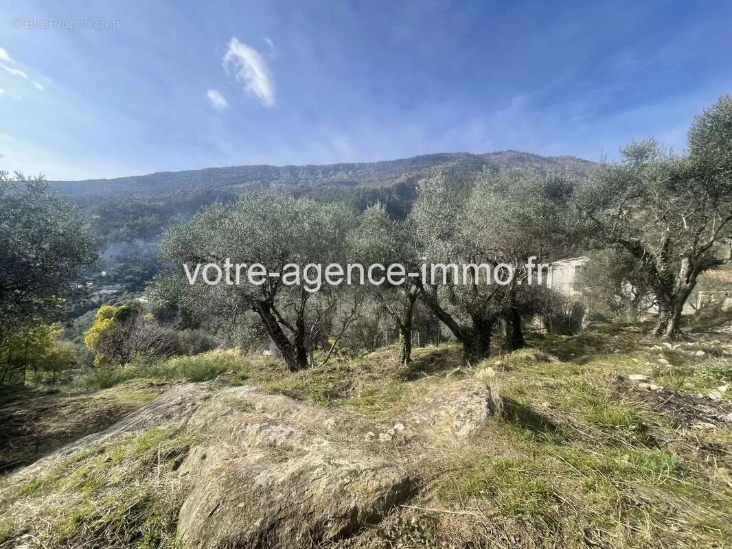 Terrain à COARAZE