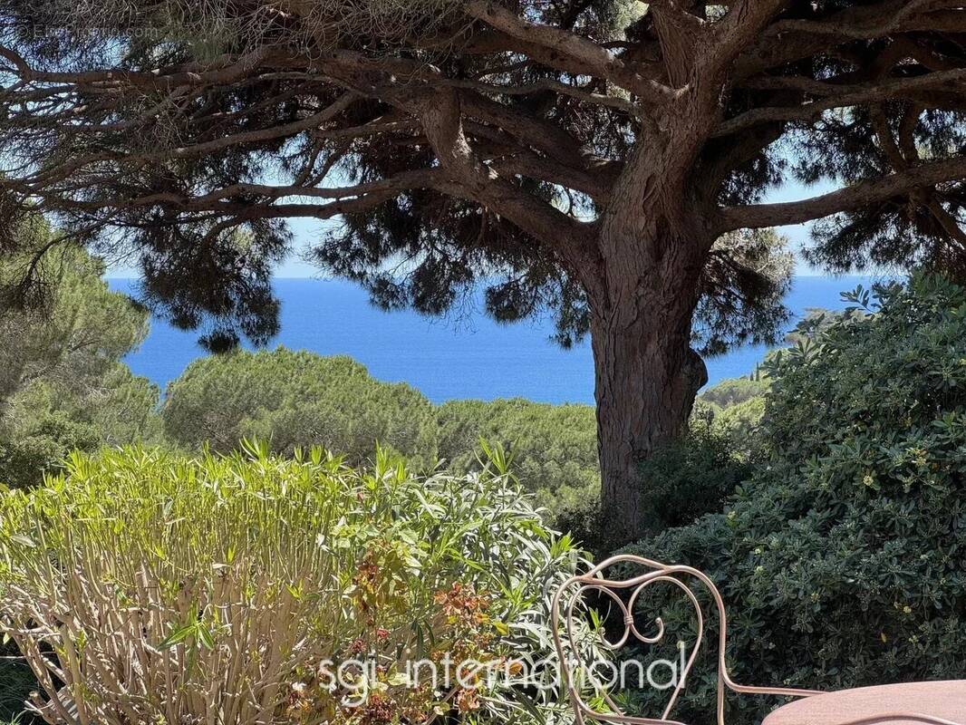 Maison à RAMATUELLE