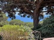 Maison à RAMATUELLE