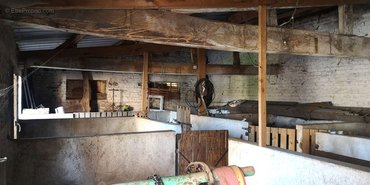 Maison à AVESNES-LE-COMTE