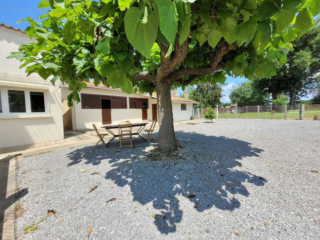 Maison à ARZACQ-ARRAZIGUET