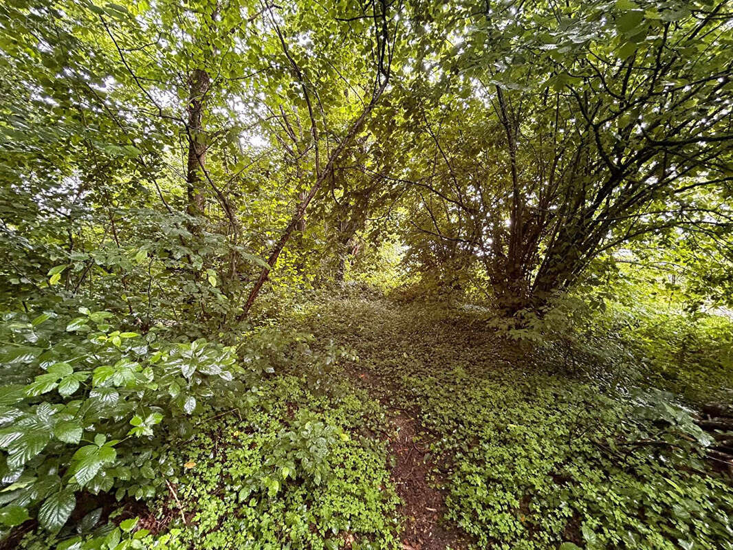 Terrain à LADIGNAC-LE-LONG