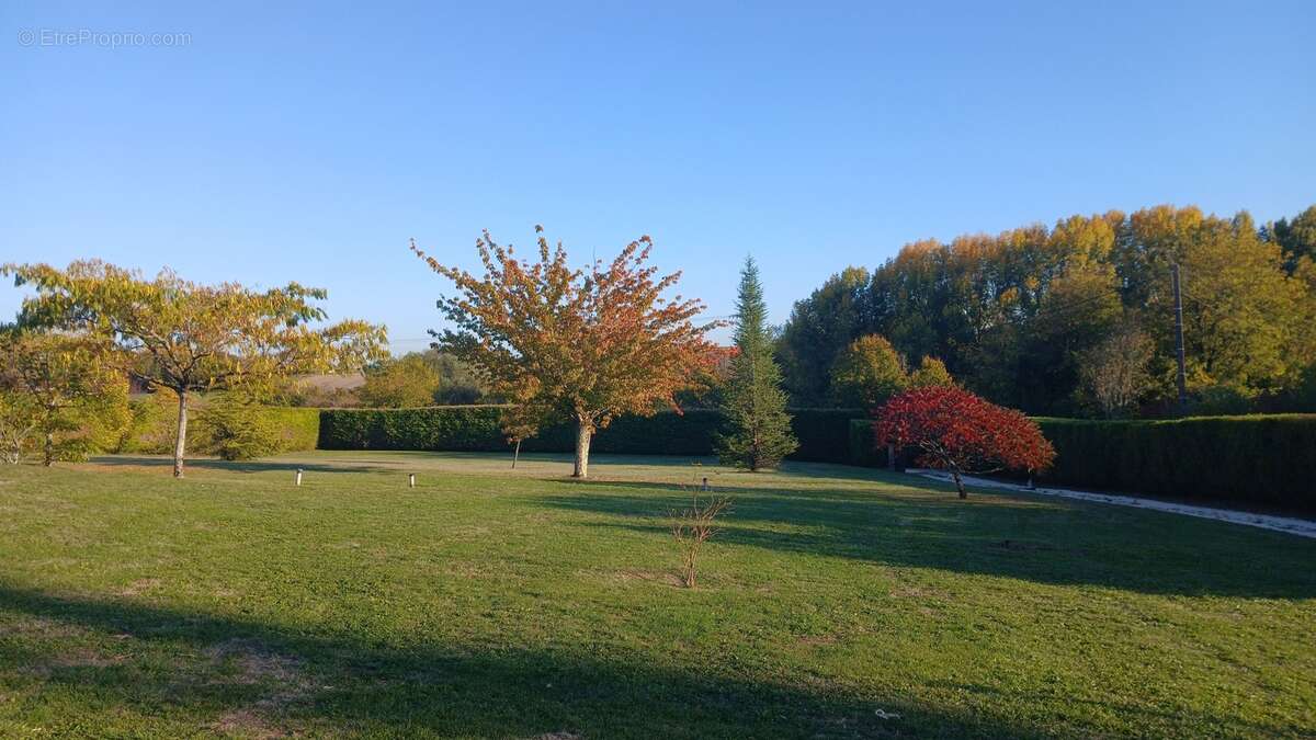 Appartement à MONTIGNAC-LE-COQ
