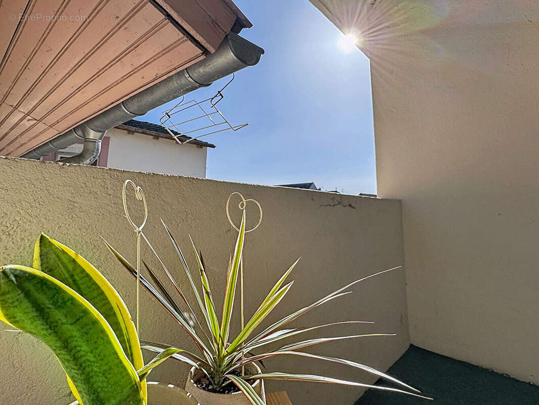 Appartement à SCHILTIGHEIM