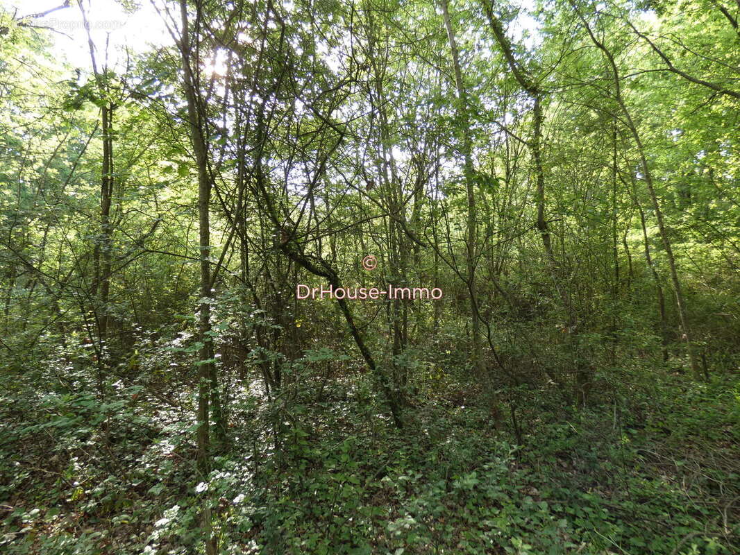 Terrain à BOURCEFRANC-LE-CHAPUS