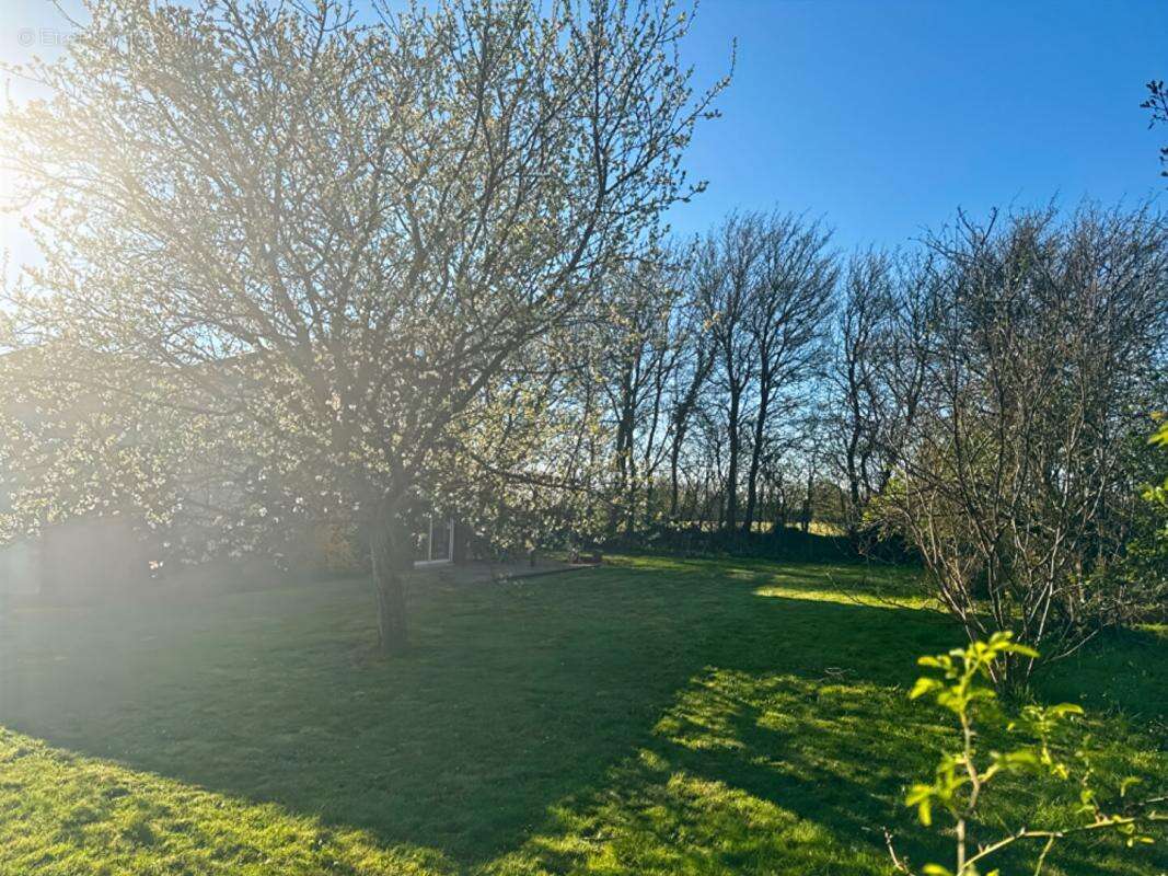 Maison à SABLE-SUR-SARTHE