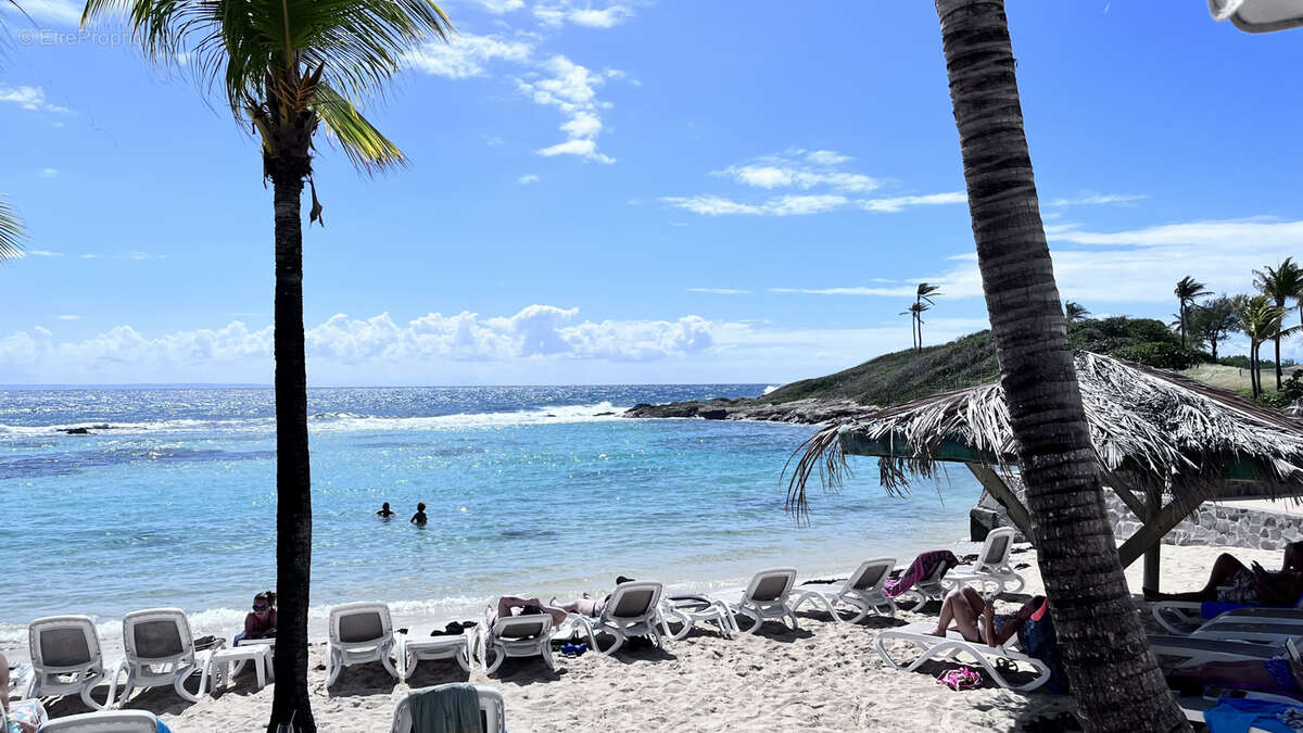 Bel appartement en bord de mer. - photo 4