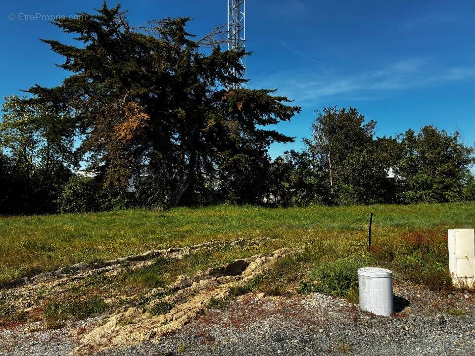 Terrain à NOTRE-DAME-DE-RIEZ
