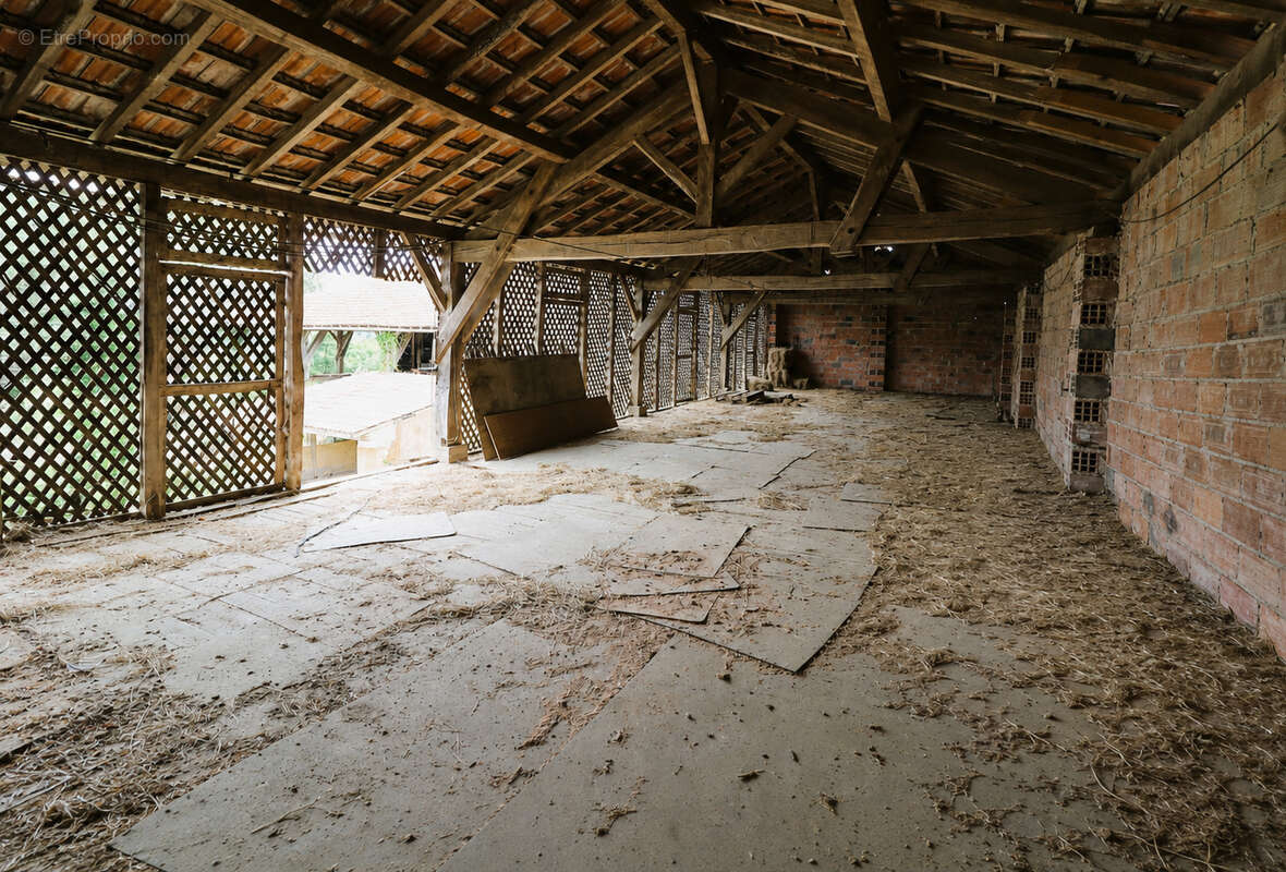 Maison à MASSEUBE