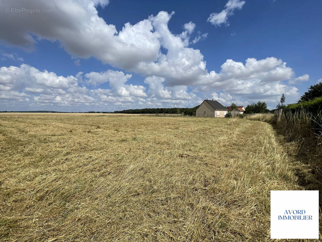 Terrain à FARGES-EN-SEPTAINE
