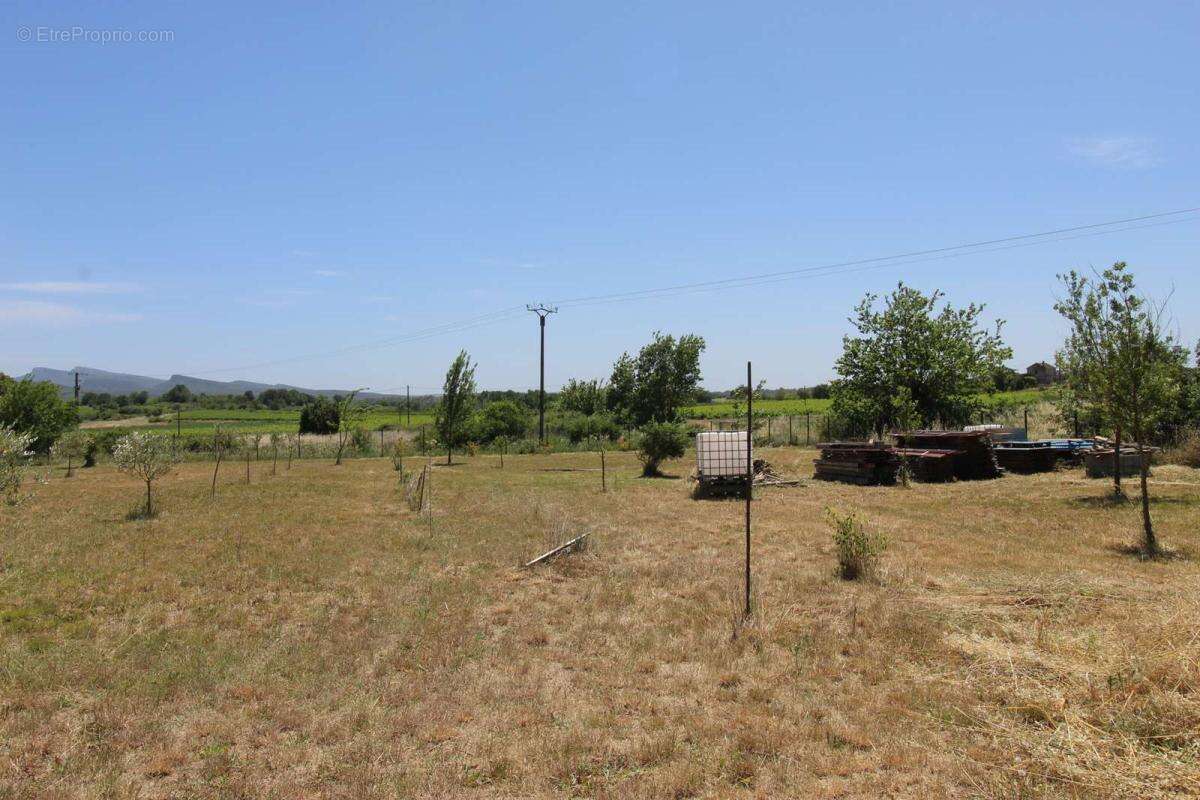 Terrain agricole ou de loisirs de 10 145 m² , entièrement clôturé et sécurisé - photo 3