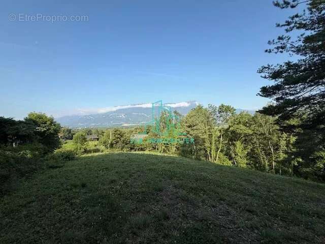 Terrain à LES MOLLETTES